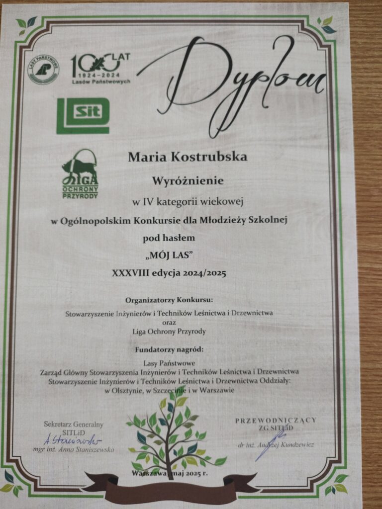Dyplom,który uzyskała Marysia